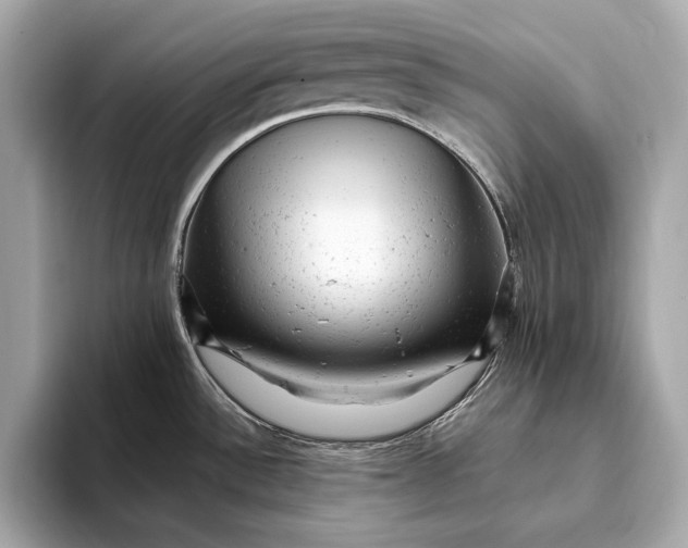 X0000093421532200710260948