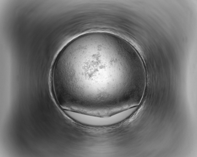 X0000093421533200710260948