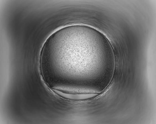 X0000093421534200710260948