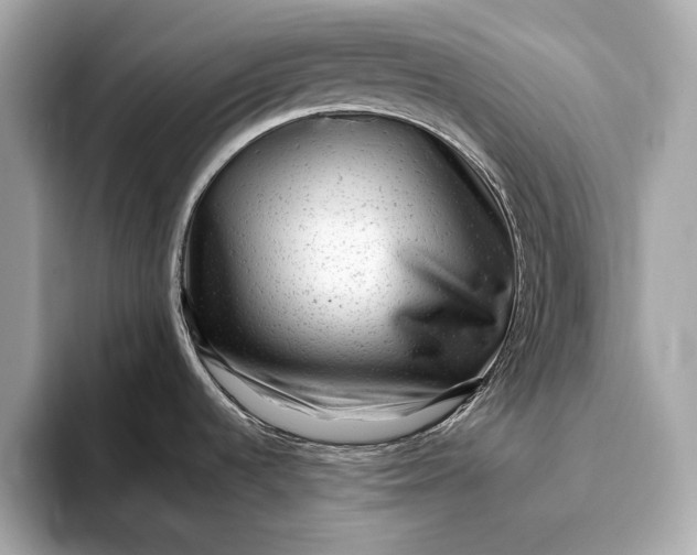 X0000093421536200710260948