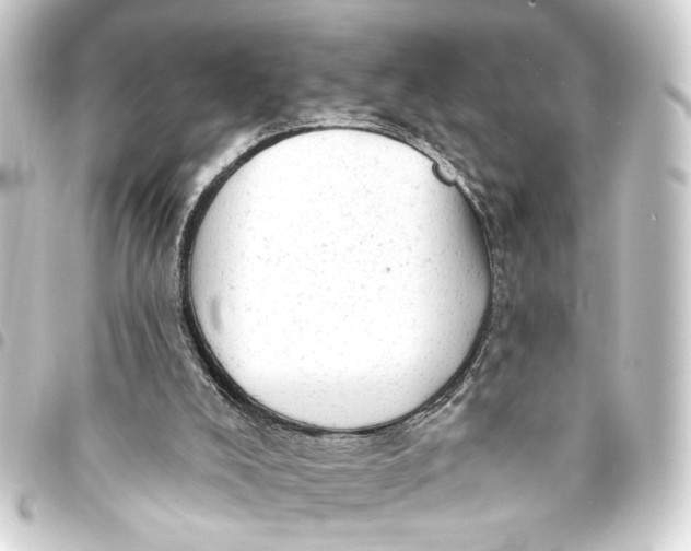 X0000093420008200711021023