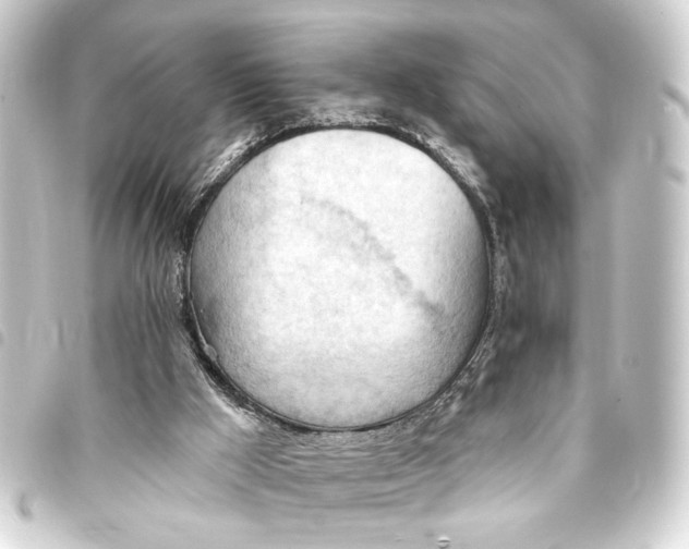 X0000093420009200711021023