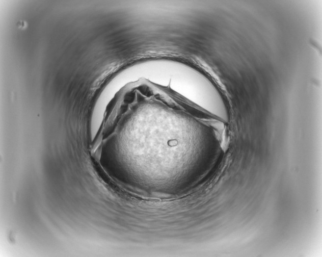 X0000093420019200711021023