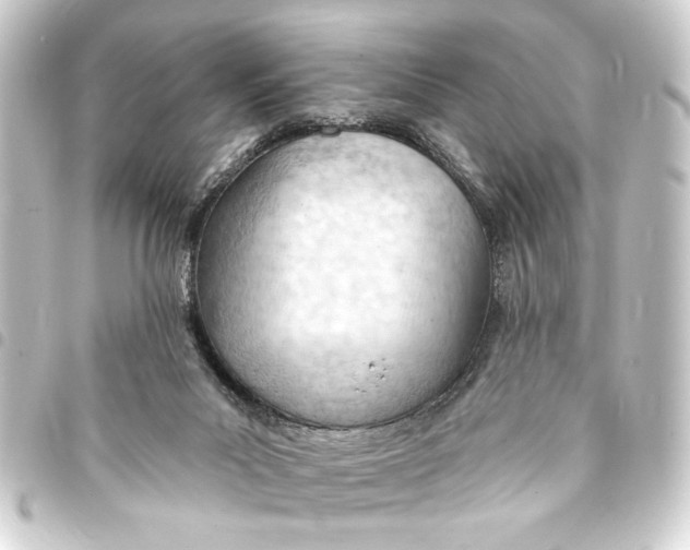 X0000093420023200711021023