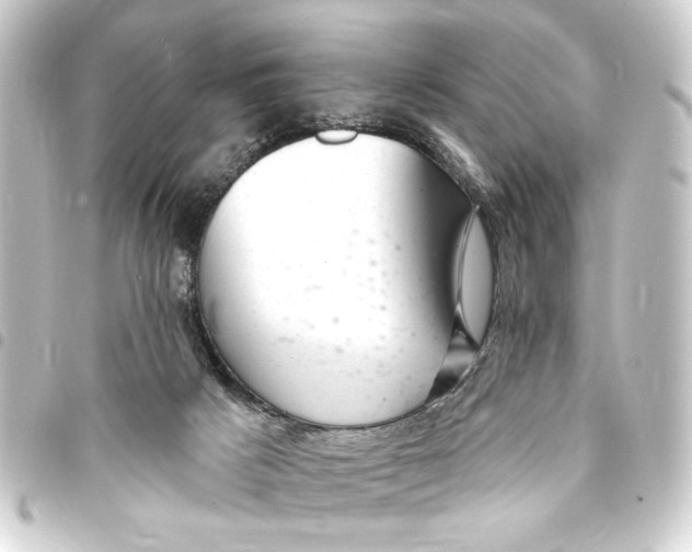 X0000093420025200711021023