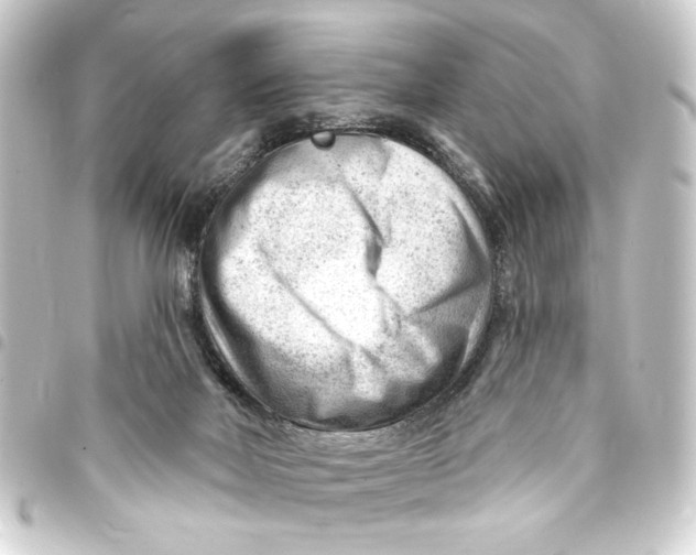 X0000093420026200711021023