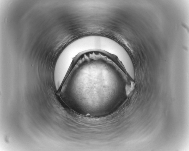 X0000093420027200711021023