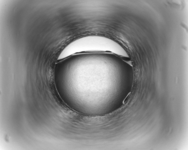 X0000093420029200711021023