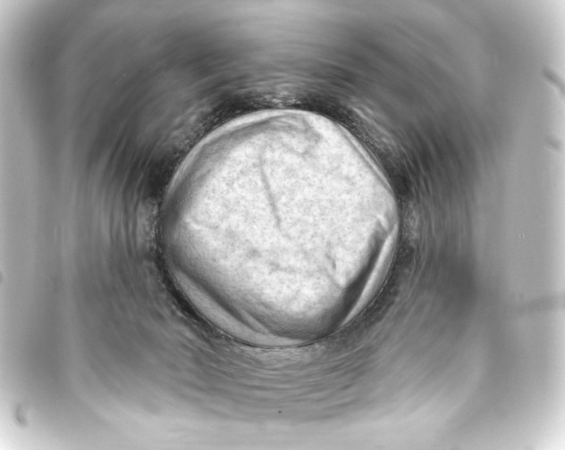 X0000093420030200711021023