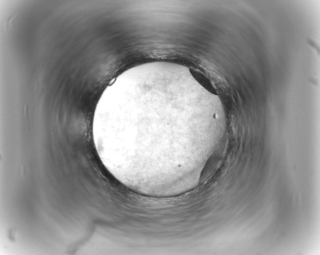 X0000093420031200711021023