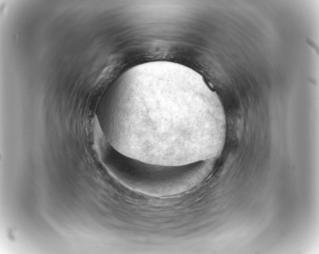 X0000093420035200711021023