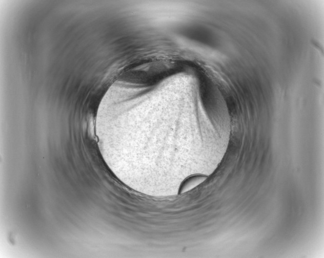 X0000093420046200711021023