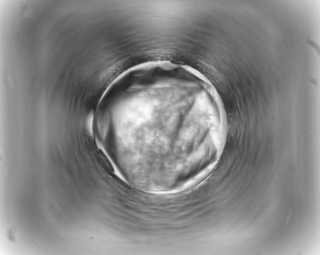 X0000093420047200711021023