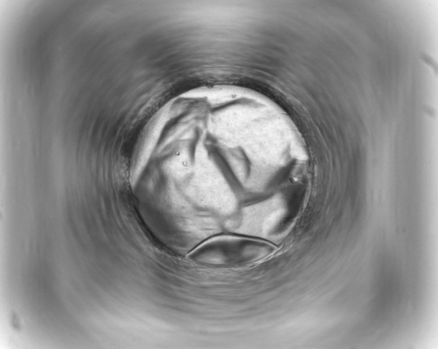 X0000093420048200711021023