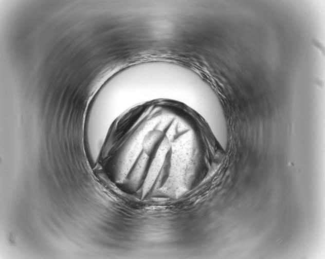 X0000093420052200711021022