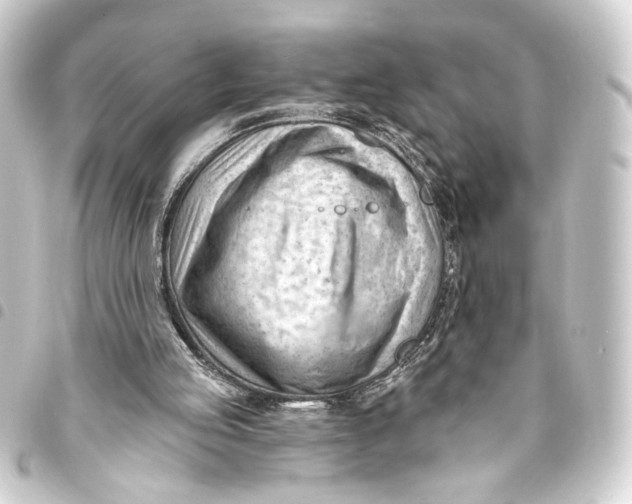 X0000093420053200711021022