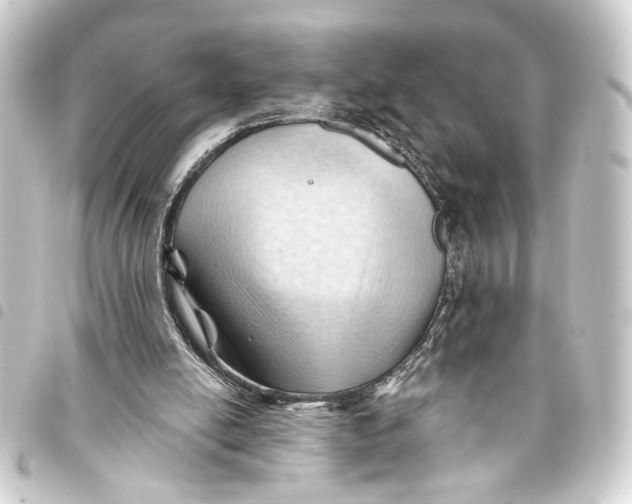 X0000093420054200711021022