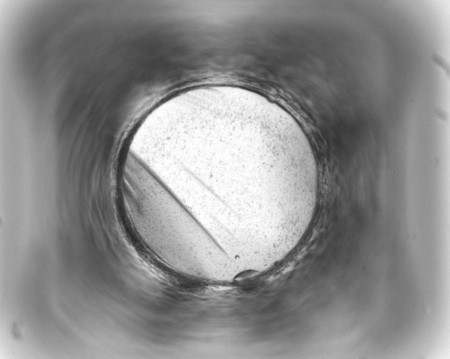 X0000093420055200711021022