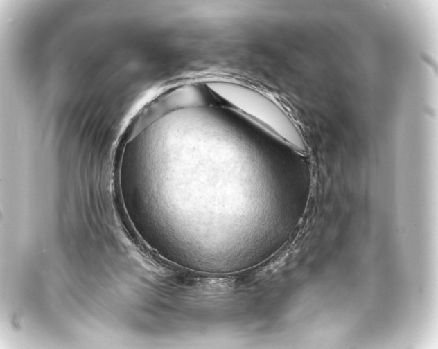 X0000093420056200711021022