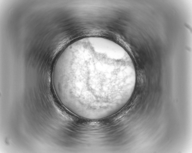 X0000093420059200711021022