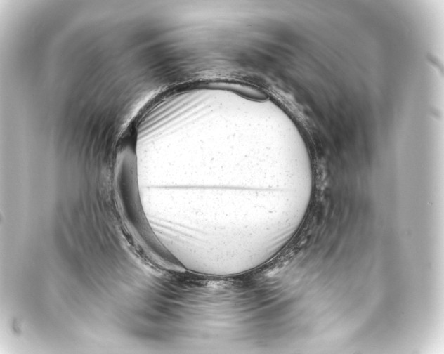 X0000093420060200711021022