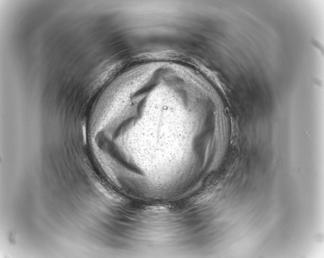 X0000093420061200711021022