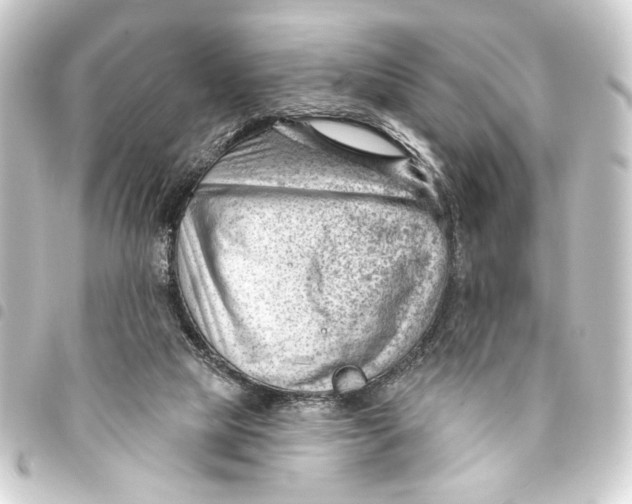 X0000093420065200711021022