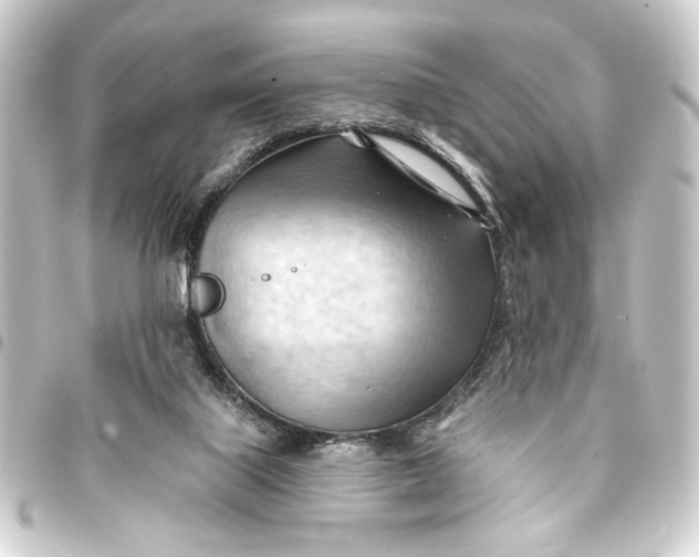 X0000093420067200711021022