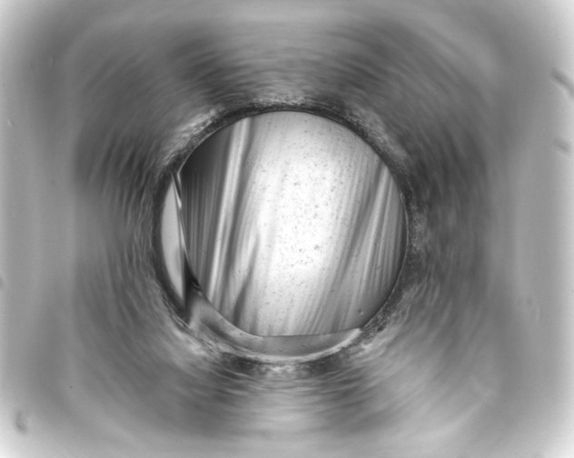 X0000093420068200711021022