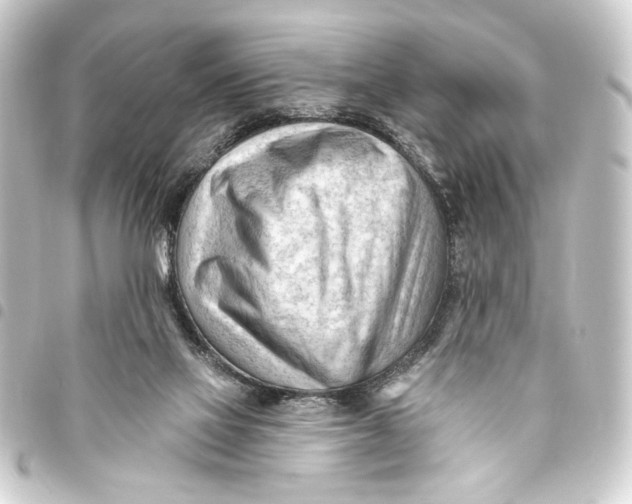 X0000093420069200711021023