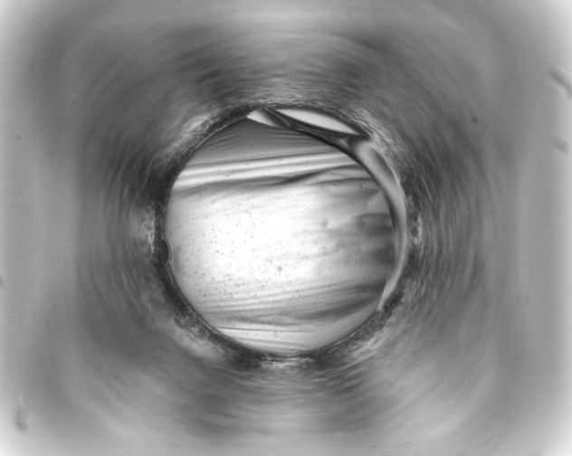 X0000093420072200711021023