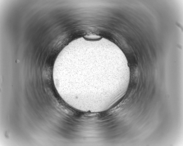 X0000093420078200711021023