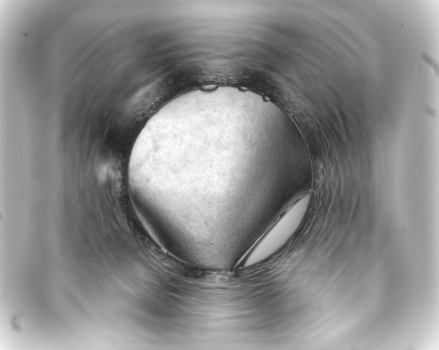 X0000093420080200711021023