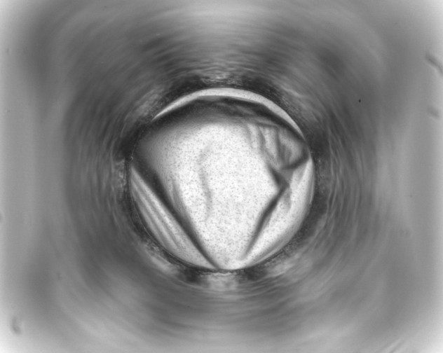 X0000093420085200711021023