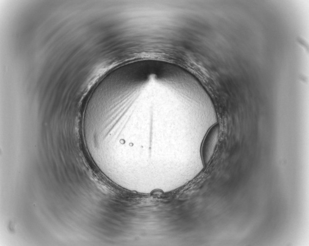 X0000093420098200711021022