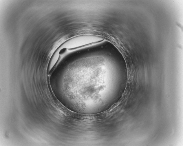 X0000093420099200711021022