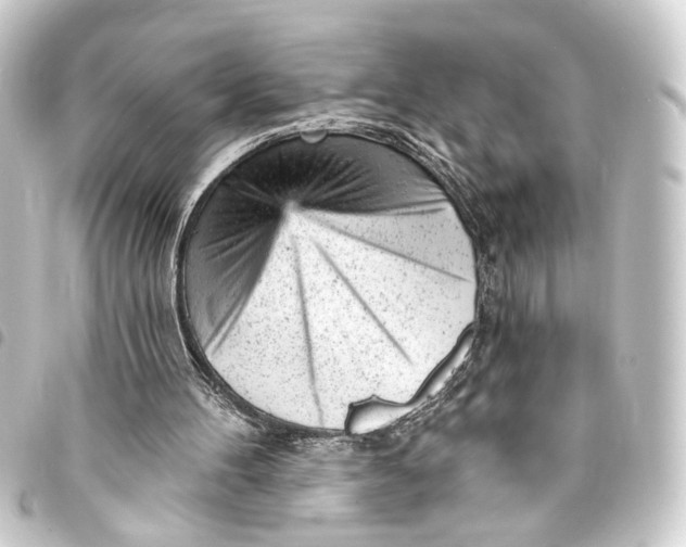 X0000093420100200711021022