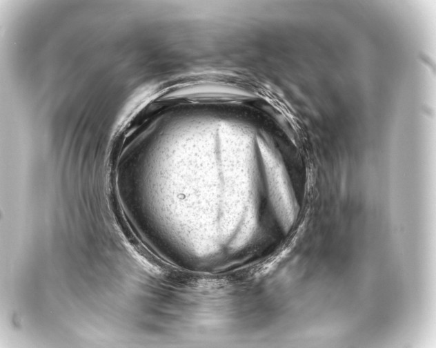 X0000093420101200711021022