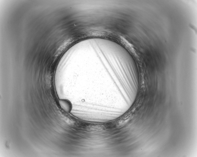 X0000093420106200711021022