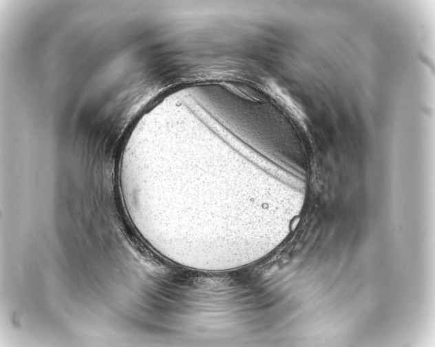 X0000093420107200711021022