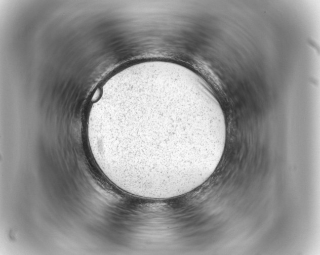 X0000093420108200711021022