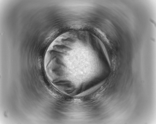 X0000093420114200711021022