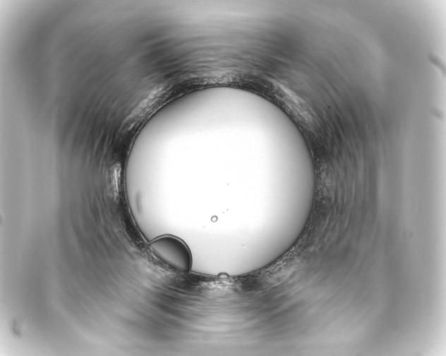 X0000093420118200711021022