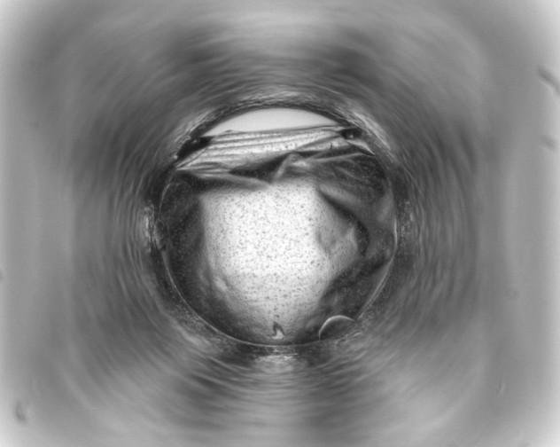 X0000093420119200711021022