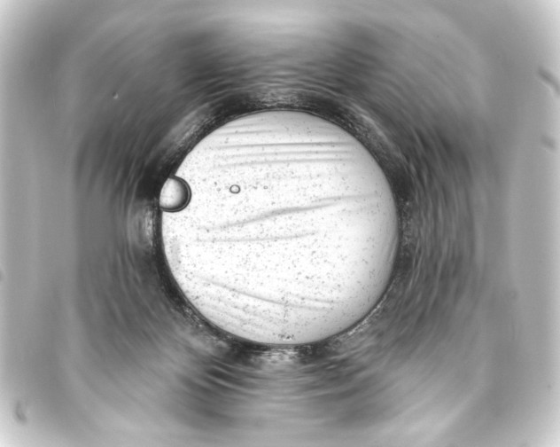 X0000093420124200711021022