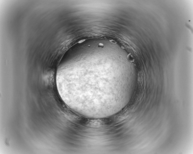 X0000093420127200711021022