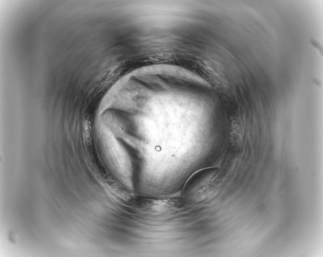 X0000093420130200711021022