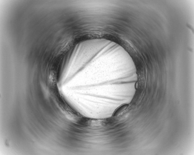 X0000093420134200711021022