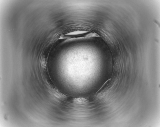 X0000093420137200711021022