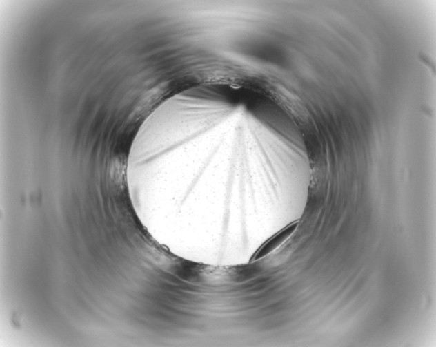 X0000093420142200711021022